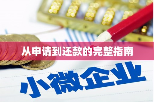 东阿从申请到还款的完整指南