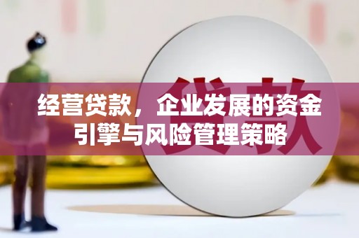 宁晋经营贷款，企业发展的资金引擎与风险管理策略