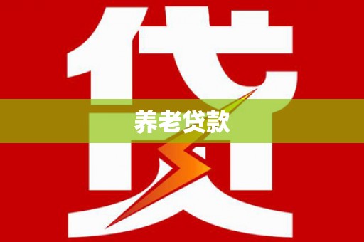 保亭养老贷款