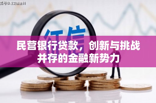 当涂民营银行贷款，创新与挑战并存的金融新势力