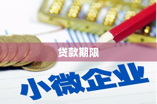 永靖贷款期限