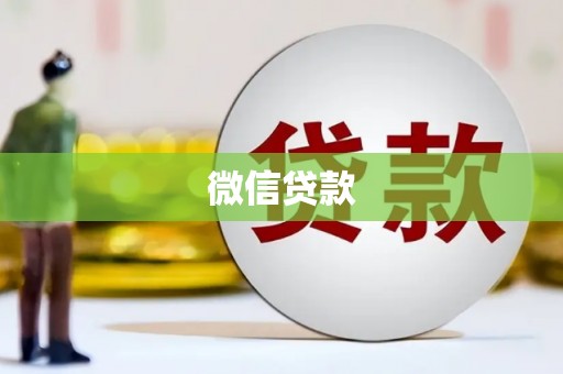 大东微信贷款
