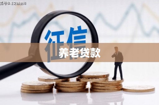 马边养老贷款