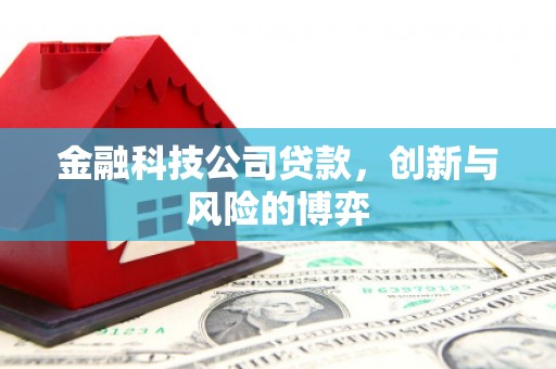 巧家金融科技公司贷款，创新与风险的博弈