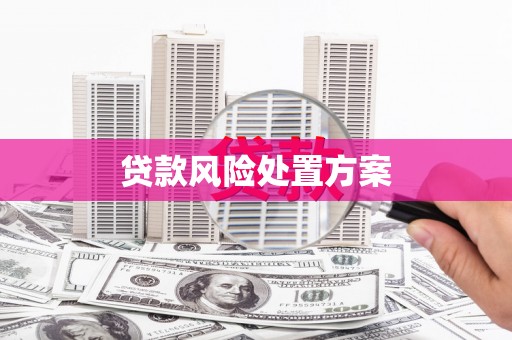 丰原贷款风险处置方案