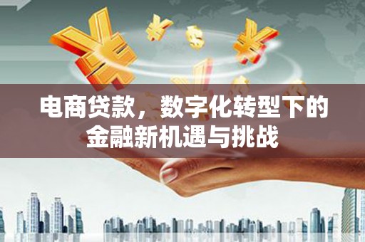 根河电商贷款，数字化转型下的金融新机遇与挑战