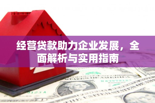 康保经营贷款助力企业发展，全面解析与实用指南