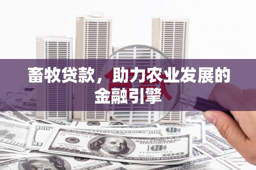 海东畜牧贷款，助力农业发展的金融引擎