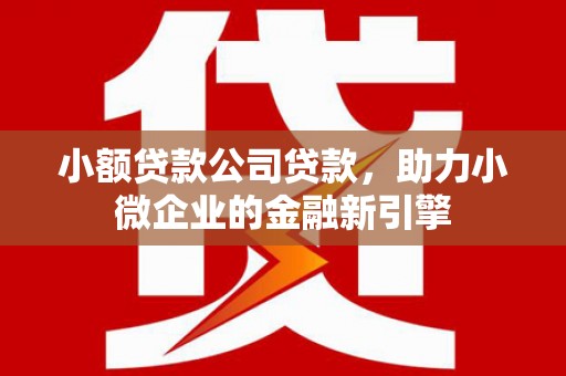 芦淞小额贷款公司贷款，助力小微企业的金融新引擎