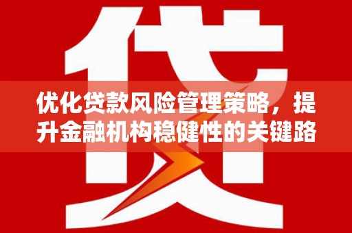 吴桥优化贷款风险管理策略，提升金融机构稳健性的关键路径