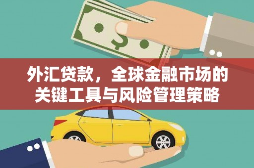 内湖外汇贷款，全球金融市场的关键工具与风险管理策略