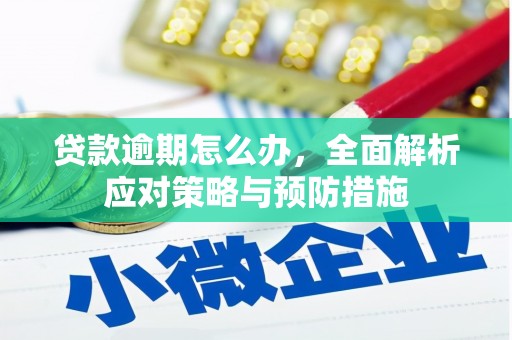 玉树贷款逾期怎么办，全面解析应对策略与预防措施