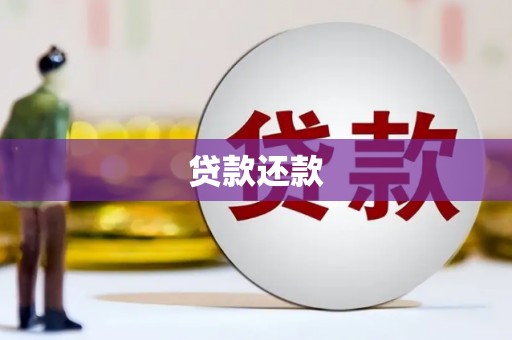 南岳贷款还款
