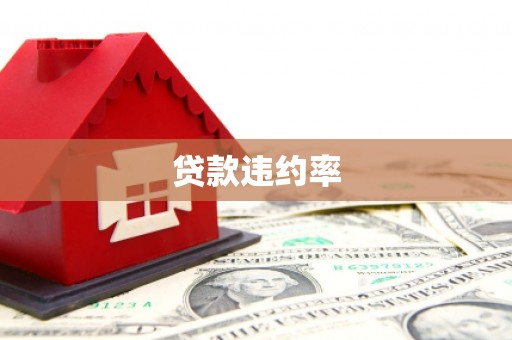 高平贷款违约率