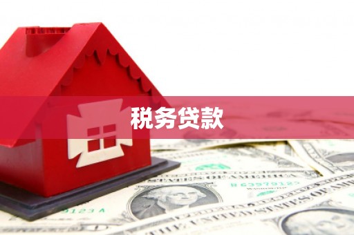 莱西税务贷款
