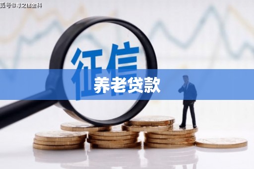 双城养老贷款