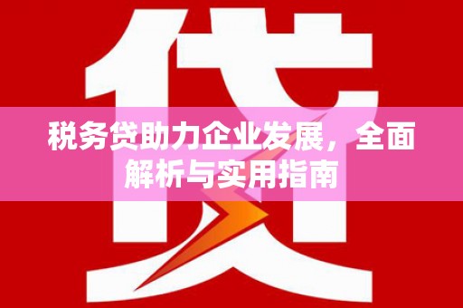 延平税务贷助力企业发展，全面解析与实用指南