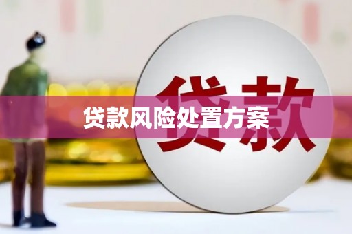 沁源贷款风险处置方案