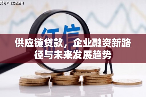 安丘供应链贷款，企业融资新路径与未来发展趋势