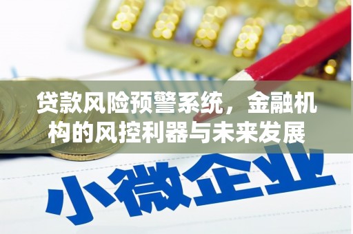 缙云贷款风险预警系统，金融机构的风控利器与未来发展
