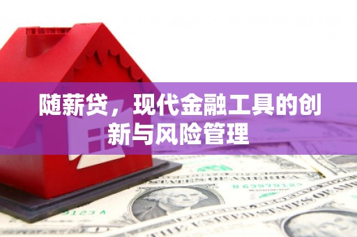 金州随薪贷，现代金融工具的创新与风险管理