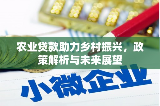 耀州农业贷款助力乡村振兴，政策解析与未来展望