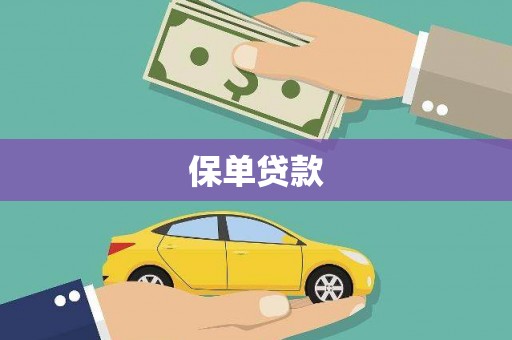 攀枝花保单贷款