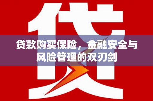 九龙城贷款购买保险，金融安全与风险管理的双刃剑