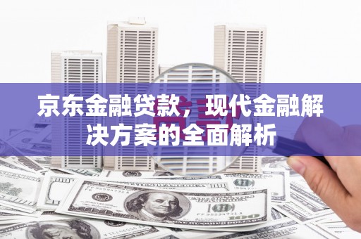 双河京东金融贷款，现代金融解决方案的全面解析