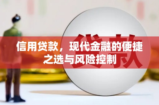 勉县信用贷款，现代金融的便捷之选与风险控制