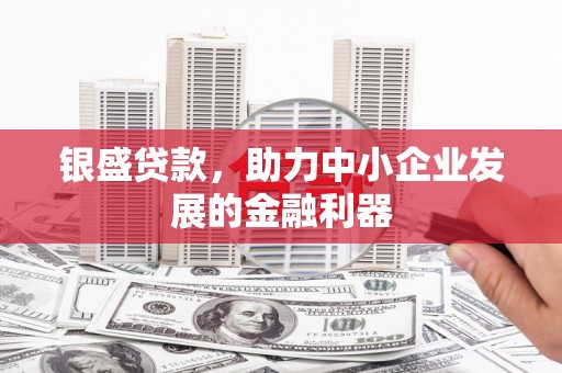 崇左银盛贷款，助力中小企业发展的金融利器