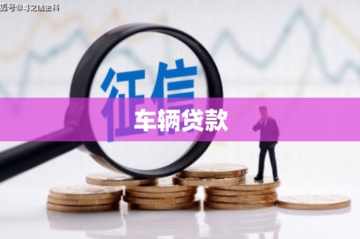 新园车辆贷款