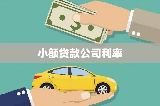 嘉黎小额贷款公司利率