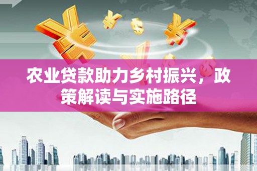 阜康农业贷款助力乡村振兴，政策解读与实施路径