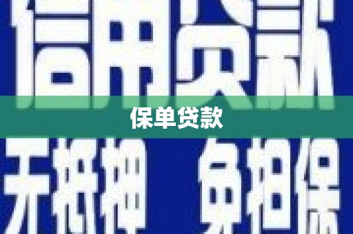 吴起保单贷款