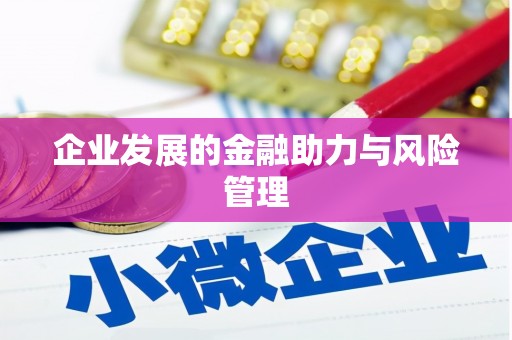高淳企业发展的金融助力与风险管理