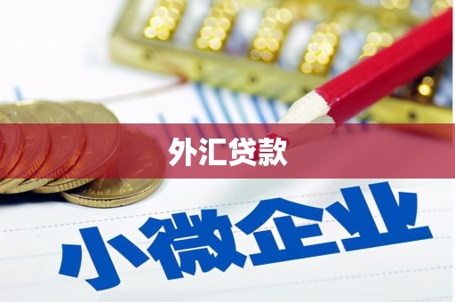 平溪外汇贷款