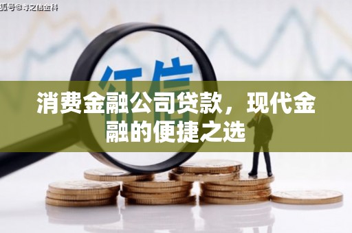 林甸消费金融公司贷款，现代金融的便捷之选