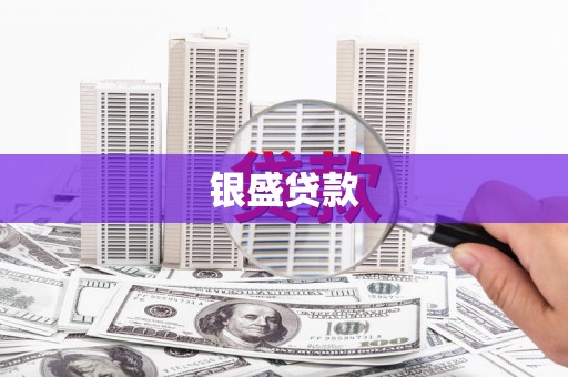 绥中银盛贷款