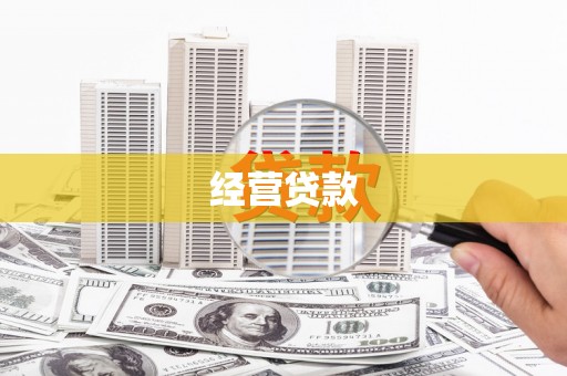 安南经营贷款