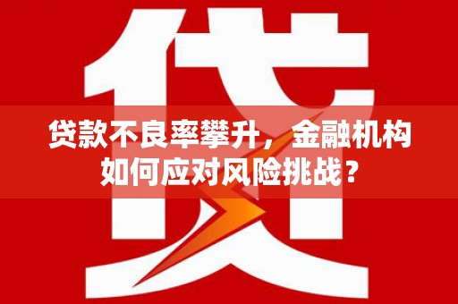 茂县贷款不良率攀升，金融机构如何应对风险挑战？