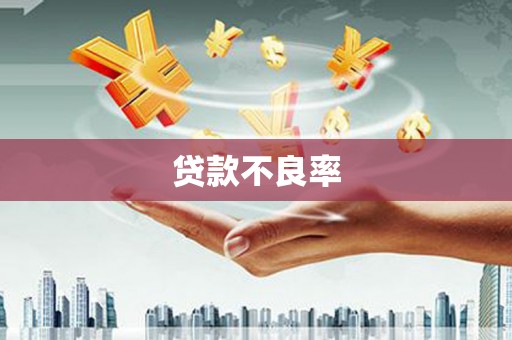 通山贷款不良率