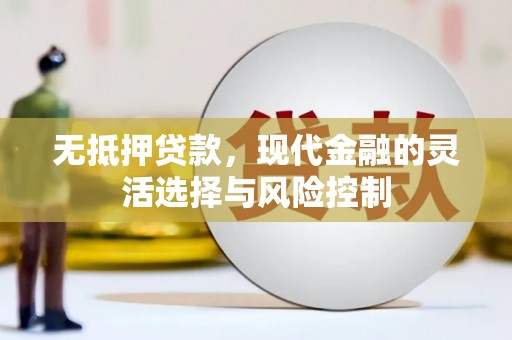 田阳无抵押贷款，现代金融的灵活选择与风险控制