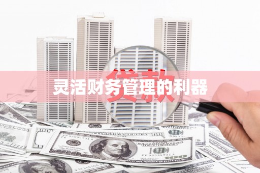 思茅灵活财务管理的利器
