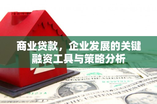 弥勒商业贷款，企业发展的关键融资工具与策略分析