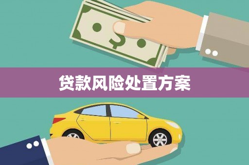 永康贷款风险处置方案