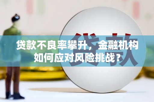 思南贷款不良率攀升，金融机构如何应对风险挑战？
