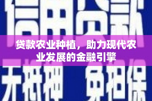 柳河贷款农业种植，助力现代农业发展的金融引擎