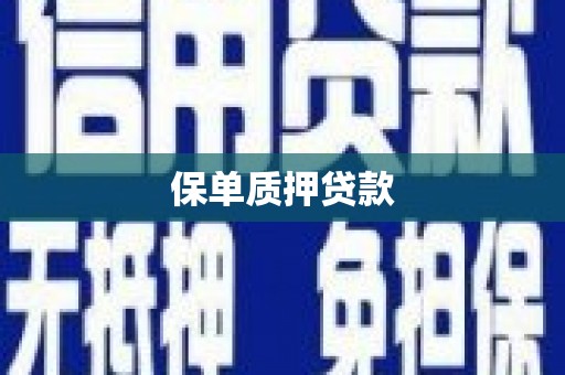 盐田保单质押贷款