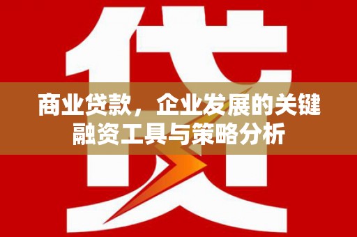 高县商业贷款，企业发展的关键融资工具与策略分析